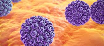 HPV Nasıl Bulaşır?