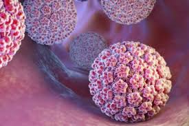 Yüksek Riskli HPV ve Kanser Riski 